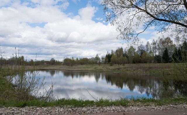 д Малые Парфёнки 96 км, Можайск, Минское шоссе фото