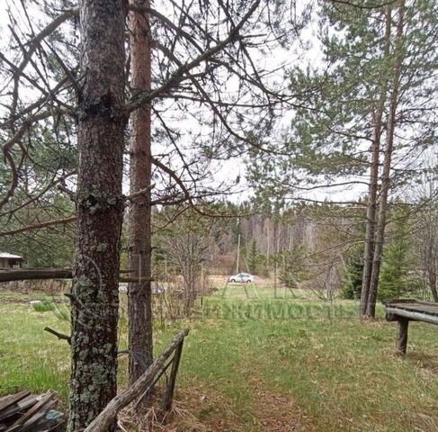 снт Радинка Селезневское с/пос, Выборгский район фото