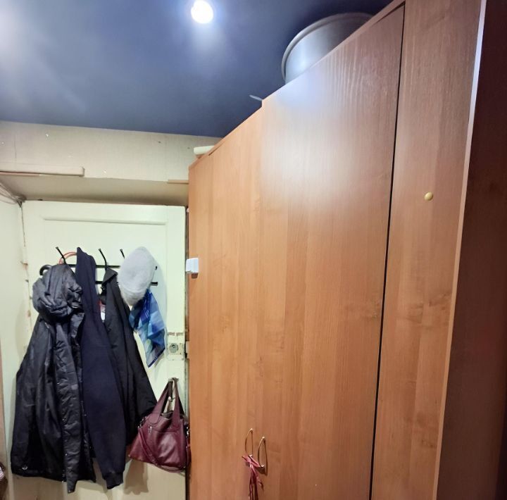 квартира г Нижний Новгород р-н Автозаводский Парк культуры ул Лескова 22 фото 5