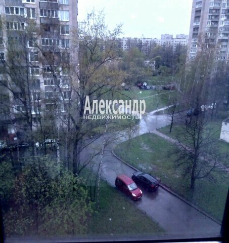 метро Проспект Просвещения пр-кт Просвещения 66 фото
