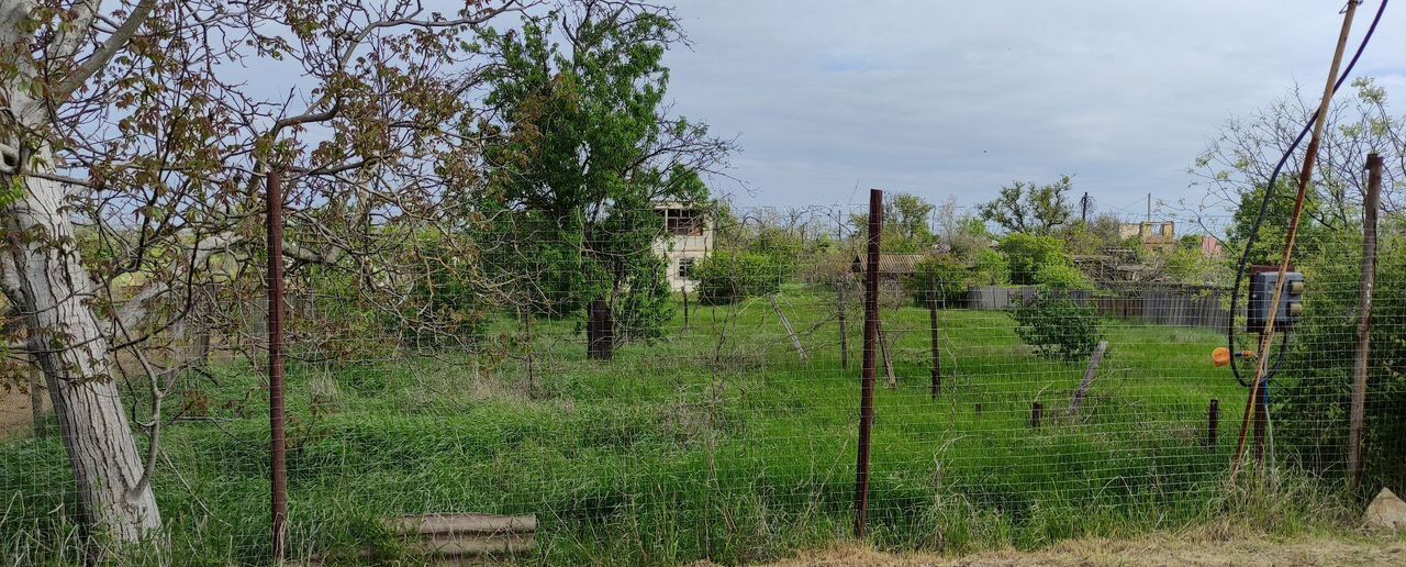 земля г Керчь снт Горняк ул Александровская 178 фото 4