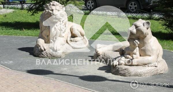 квартира г Новосибирск р-н Калининский Заельцовская ул Богдана Хмельницкого 11/1 фото 17