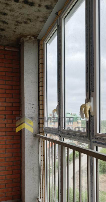 квартира г Омск пгт Сибниисхоз ул Малиновского 16/2 м-н фото 12