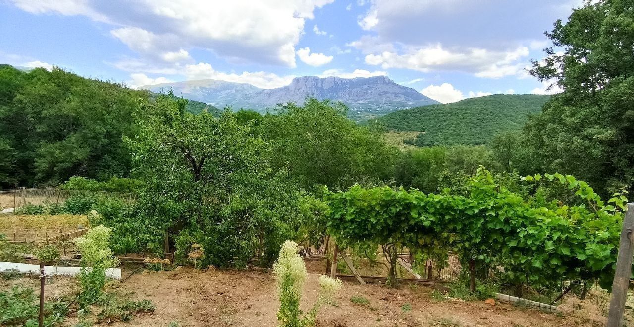 земля г Алушта с Нижняя Кутузовка ул Троицкая фото 7