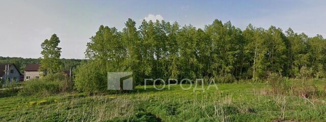 Берёзовая роща ул Отдыха 14 фото