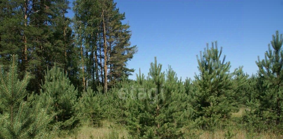 земля г Полевской с Курганово фото 2