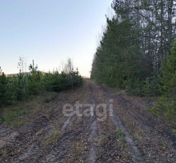 земля г Полевской д Раскуиха фото 4
