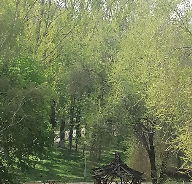 квартира г Тольятти р-н Автозаводский б-р Курчатова 7а 4-й кв-л фото 19
