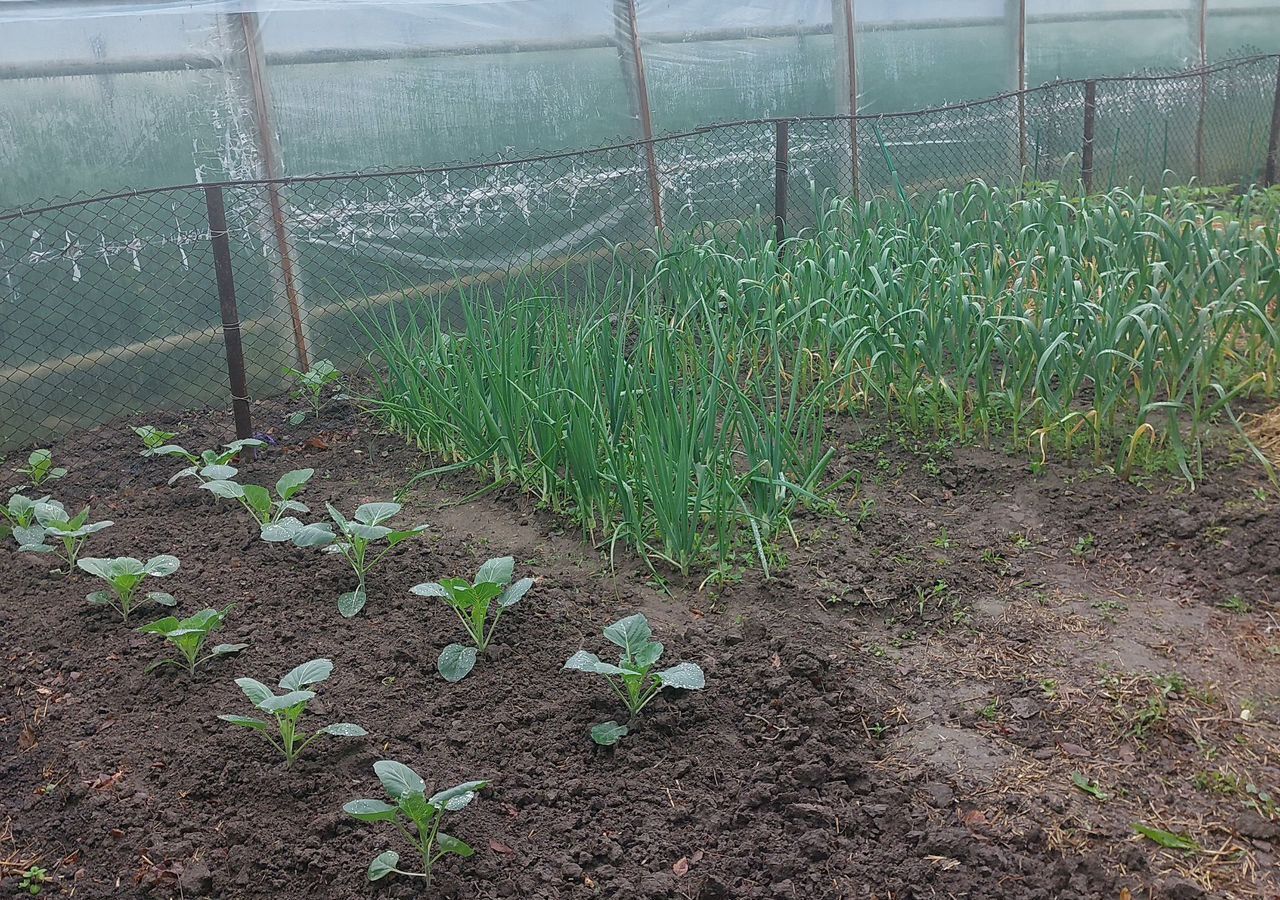 дом р-н Курганинский г Курганинск ул Свердлова 82а Курганинское городское поселение фото 5