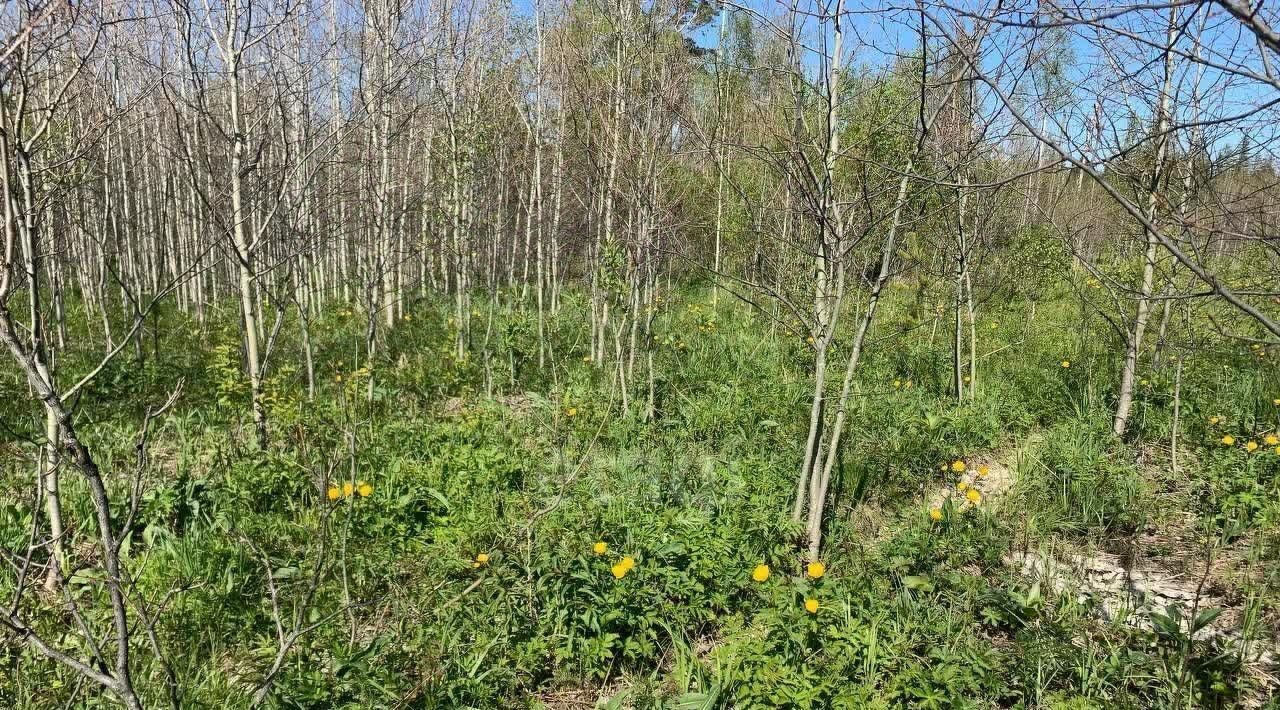 земля г Ревда с Кунгурка Дегтяные урочище фото 1