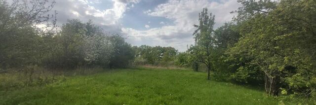 Южанка садовое товарищество фото