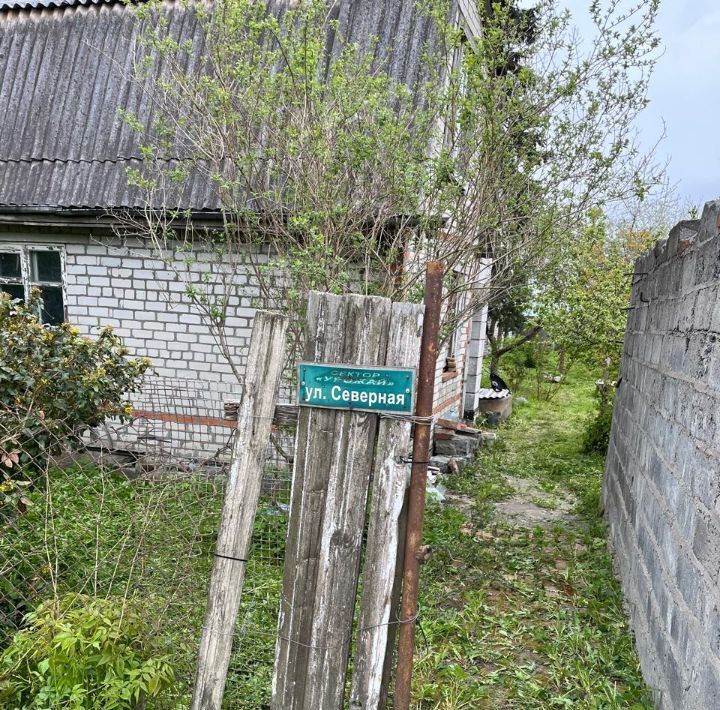 земля г Калининград р-н Центральный снт 50 лет Октября ул Северная 6 фото 15