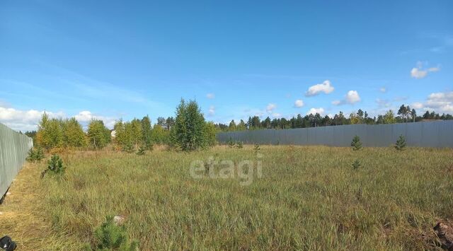 снт терМечта Читинский район фото