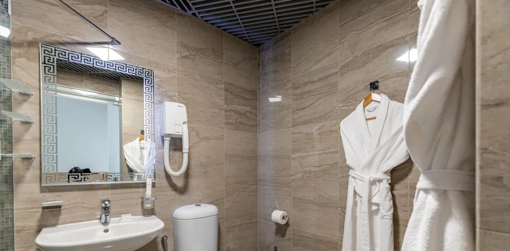 комната г Санкт-Петербург метро Площадь Восстания пр-кт Невский 120 фото 8