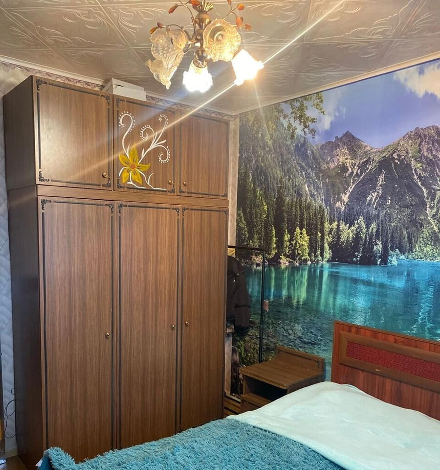 квартира г Снежинск ул Академика Забабахина 35 фото 5