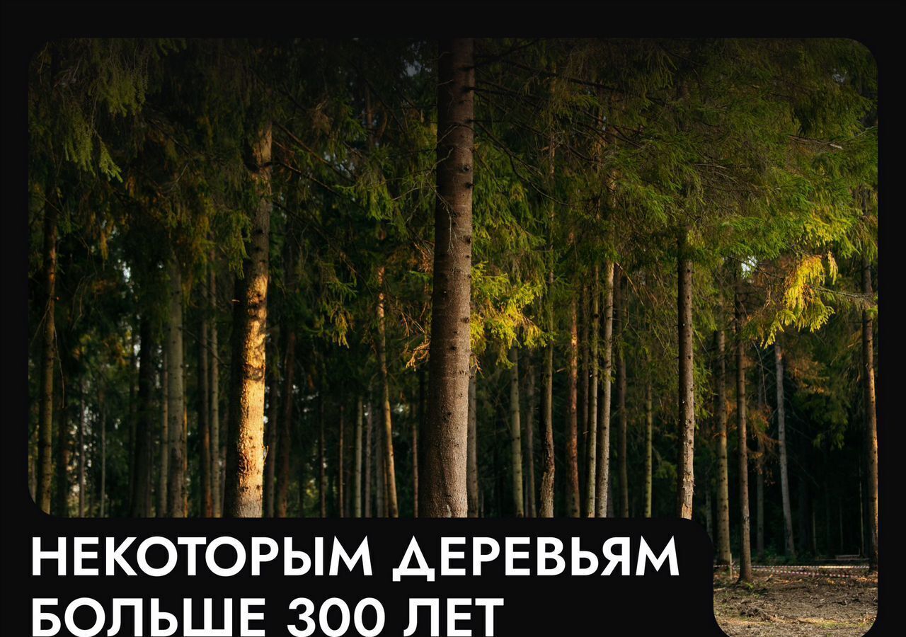 земля г Истра 25 км, коттеджный пос. Аносино Парк, Рождествено, Волоколамское шоссе фото 5