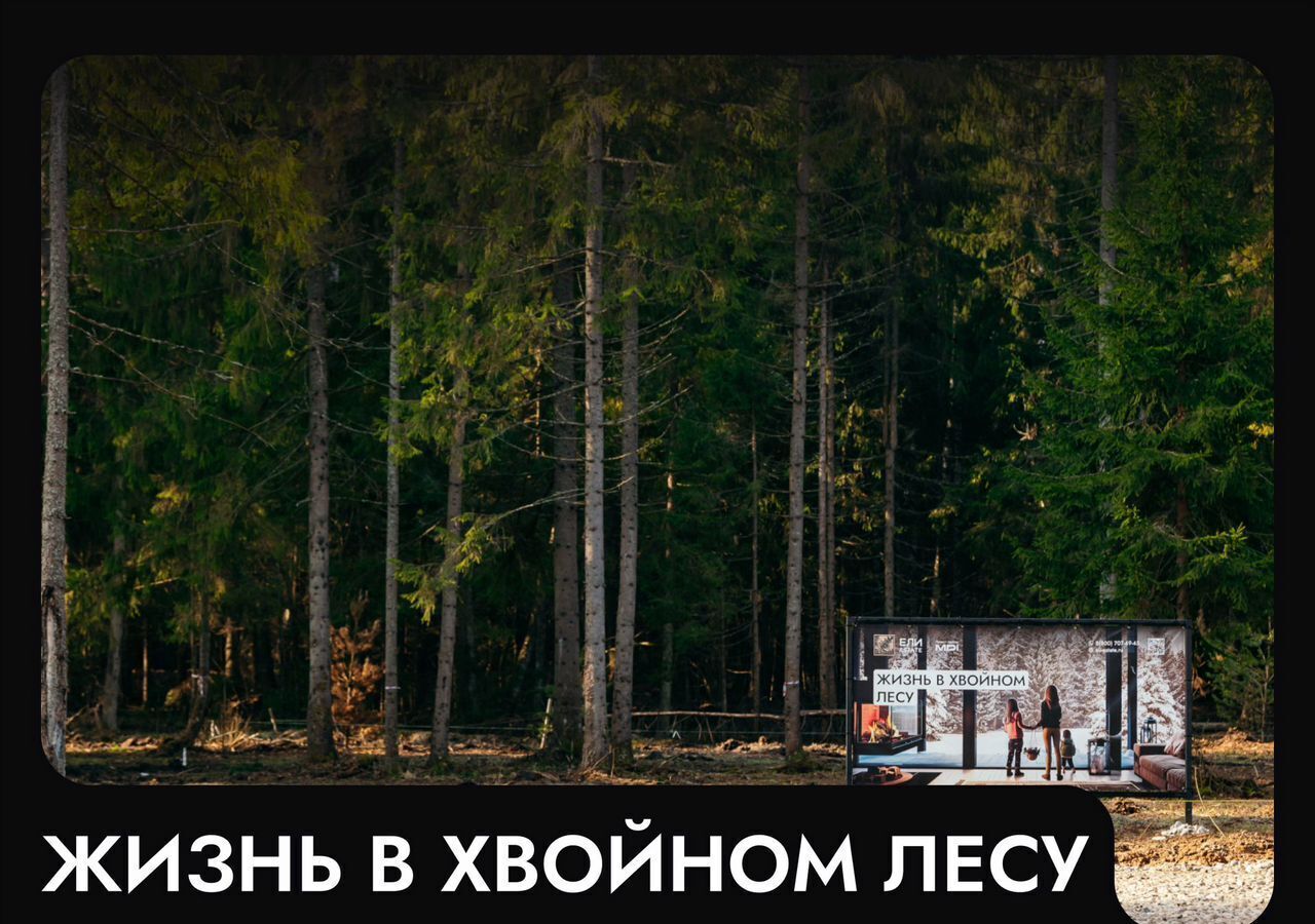 земля г Клин 54 км, эко-посёлок Ели эстейт, Новопетровское, Ленинградское шоссе фото 26