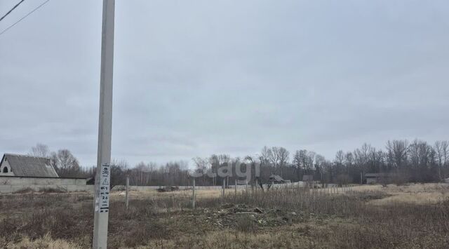 Восточный ул Дальняя Тихая фото