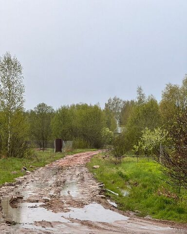 г Старая Русса городское поселение город Старая Русса фото