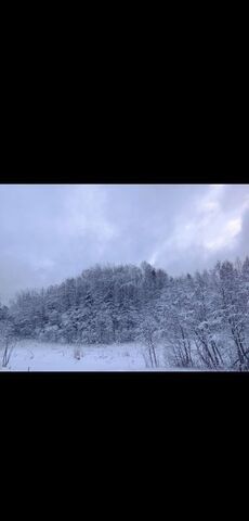 тер Урочище Мишелово Пениковское сельское поселение, Гостилицы фото