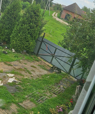 д Паниково 295 фото