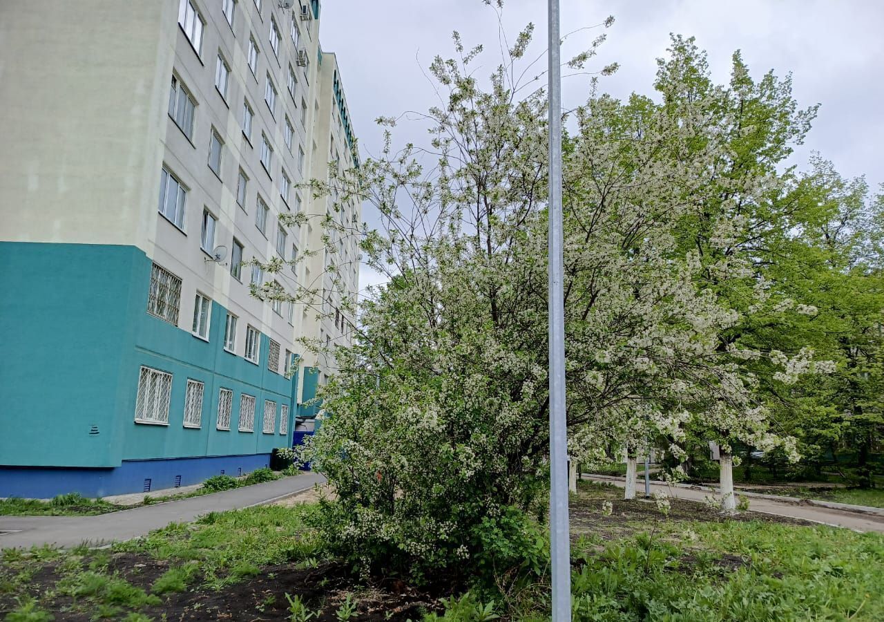 квартира г Набережные Челны р-н Комсомольский пр-кт Набережночелнинский 31 Республика Татарстан Татарстан фото 12