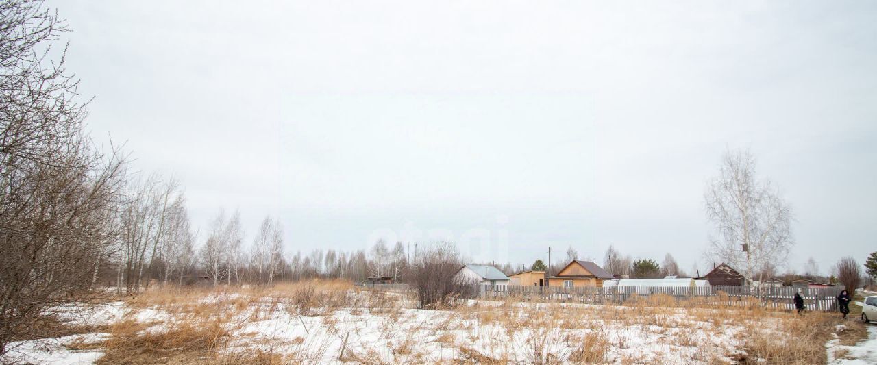 земля г Томск п Светлый снт Калинка р-н Октябрьский фото 2