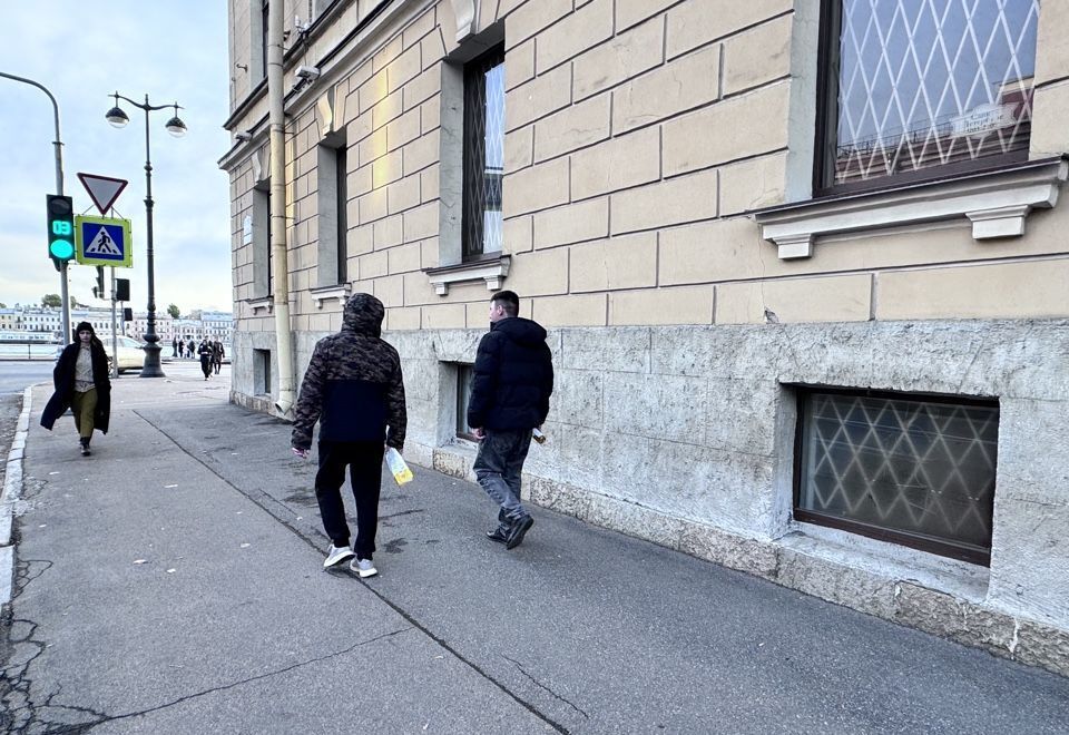 свободного назначения г Санкт-Петербург метро Василеостровская наб Лейтенанта Шмидта 11 фото 4