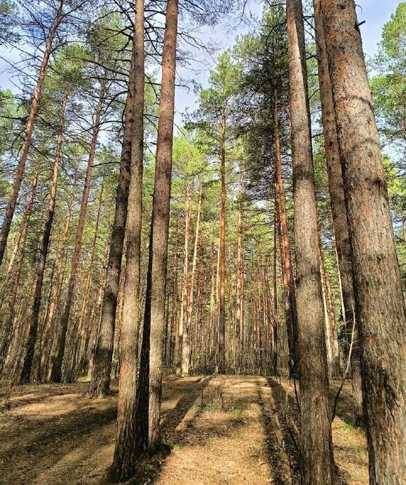 квартира г Пермь ул Докучаева 38 фото 20