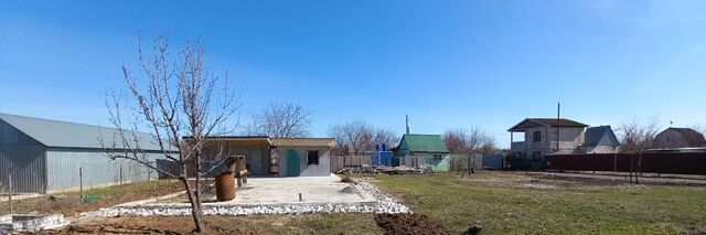 сад СНТ Цветущий ул Кизиловая СНТ фото