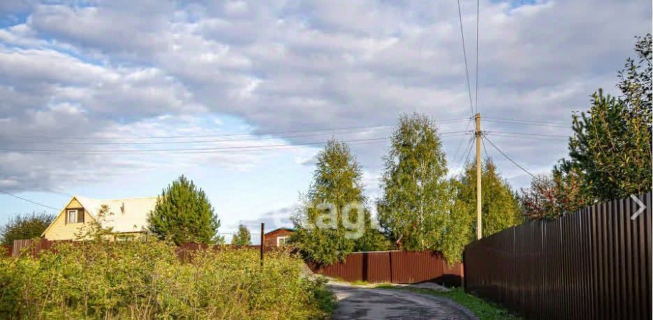 земля г Новосибирск Золотая Нива ул Центральная Садоводческого товарищества Плющихинская пойма тер. фото 3