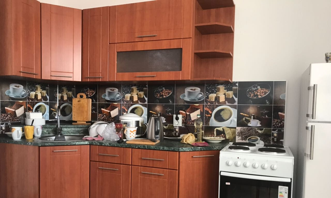 квартира г Екатеринбург пр-кт Академика Сахарова 47 фото 3