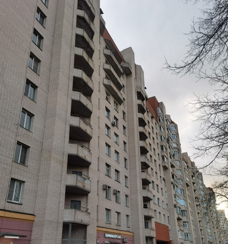 Урицк фото