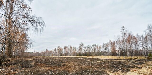 р-н Левобережный ул. Икорецкая фото