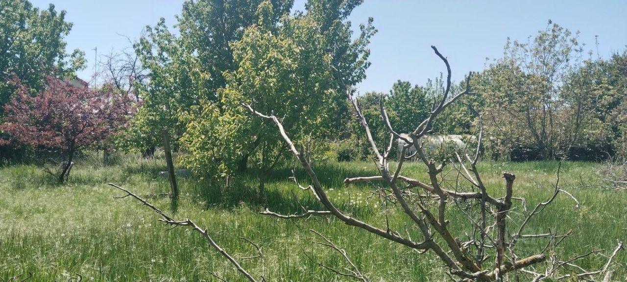 земля р-н Анапский г Анапа с Витязево ул Заводская фото 3