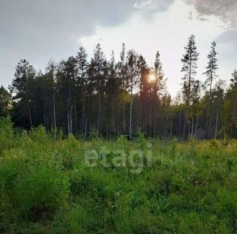 с Кунгурка ул Малахитовая фото