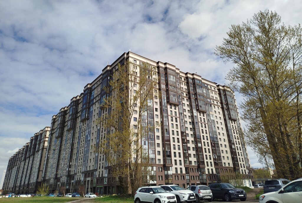 квартира г Санкт-Петербург метро Электросила ул Заставская 46к/3 фото 2