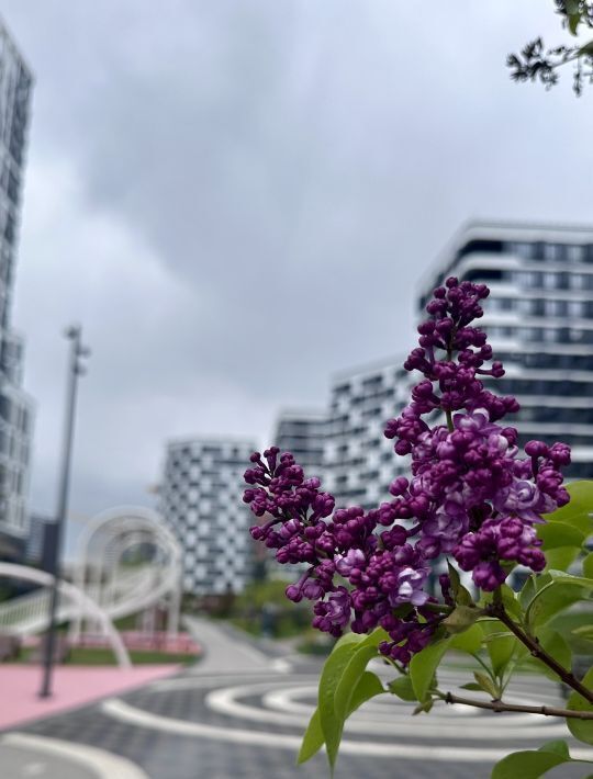 квартира г Москва метро Римская пр-д Шелихова 1к/1 фото 12