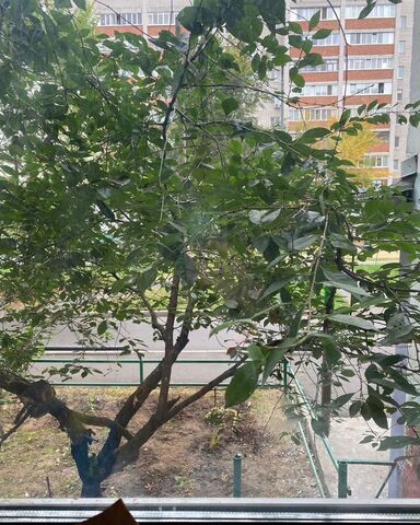 метро Горки ул Профессора Камая 15 Республика Татарстан Татарстан фото
