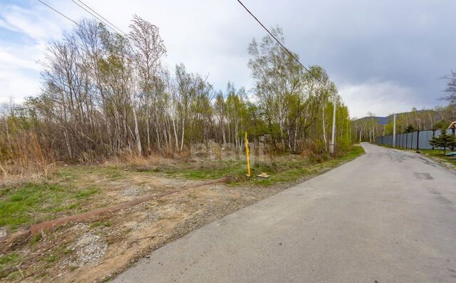 земля р-н Хабаровский с Казакевичево Хабаровск фото