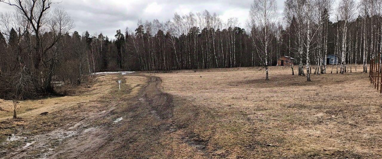 земля г Лосино-Петровский д Савинки снт Савинки фото 1