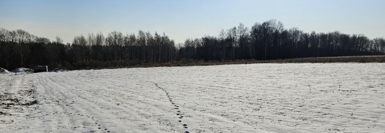 земля г Луховицы фото 1