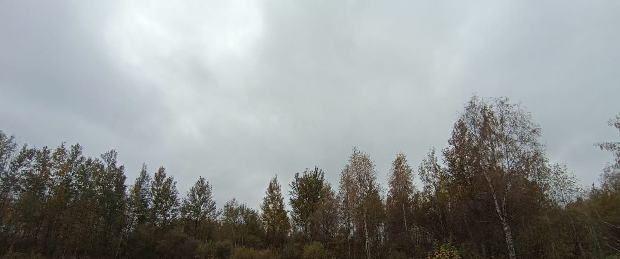 земля г Шатура фото 2