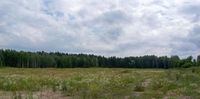 городской округ Богородский г Ногинск фото