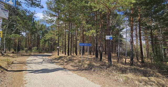 тер Калиновка поле Калиновка 5-2 Большееланское муниципальное образование, ДНТ Калиновка, 2, Ангарск фото