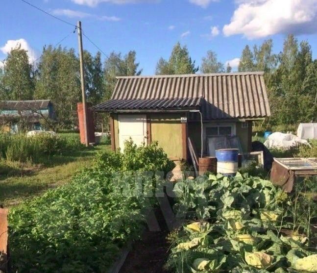 дом р-н Сокольский г Сокол микрорайон Печаткино фото 1