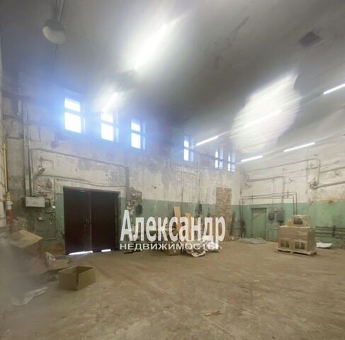ул Антропшинская 157б фото