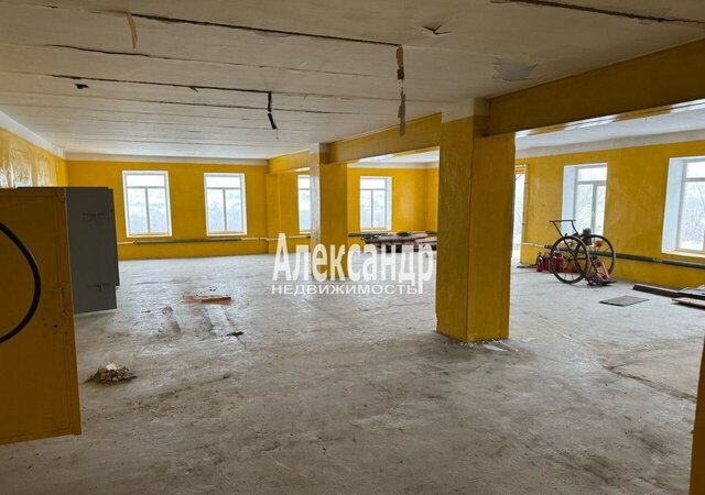 ул Антропшинская 157б фото