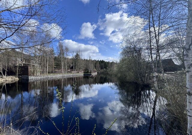 ш Ленинградское 5 км, Бугровское городское поселение, д. Савочкино фото
