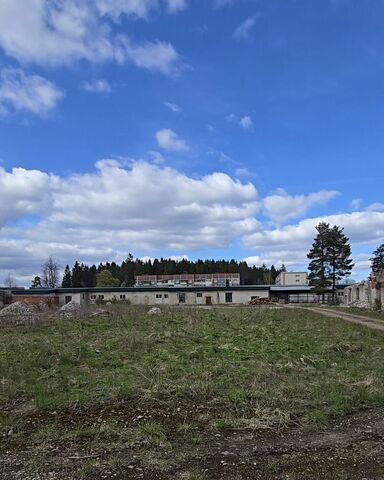 земля Таллинское шоссе, 46 км, Волосовское городское поселение фото